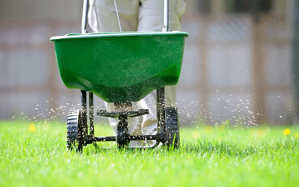 Irrigation, Sprinkler Repair & Drainage Solutions
