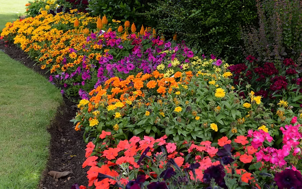 Flower Bed Maintenance